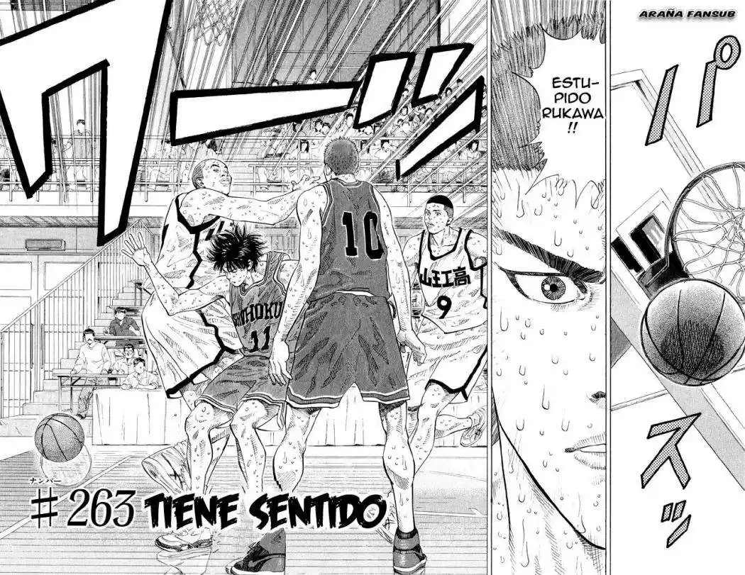 Slam Dunk Capitulo 263 página 2