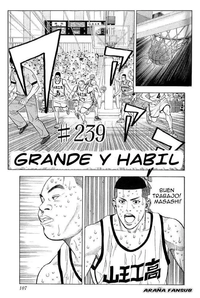 Slam Dunk Capitulo 239 página 1