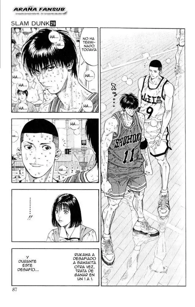 Slam Dunk Capitulo 256 página 3