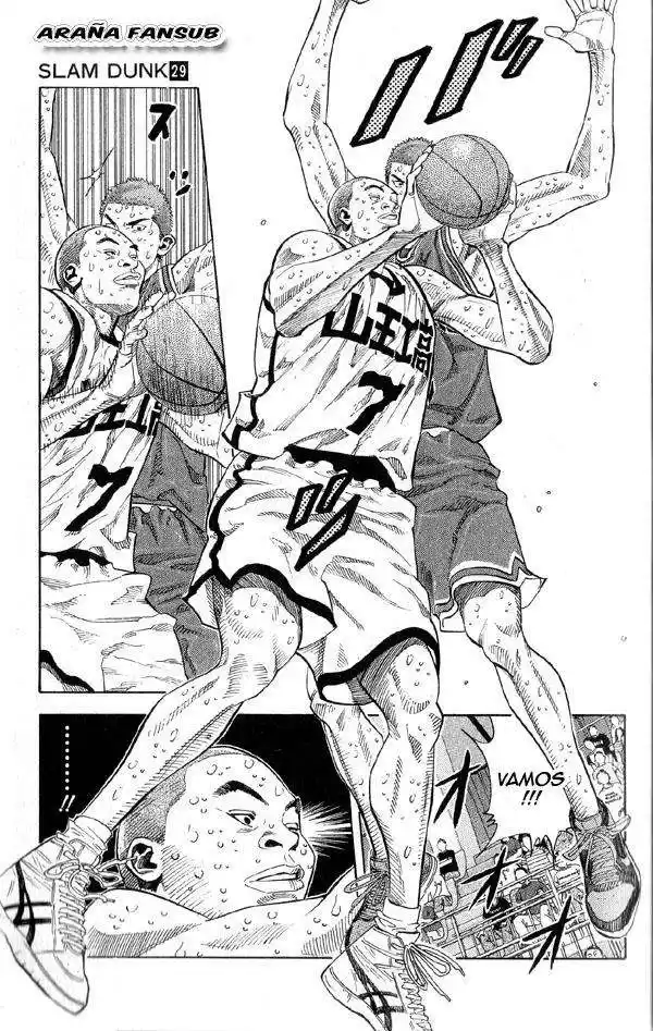 Slam Dunk Capitulo 252 página 14