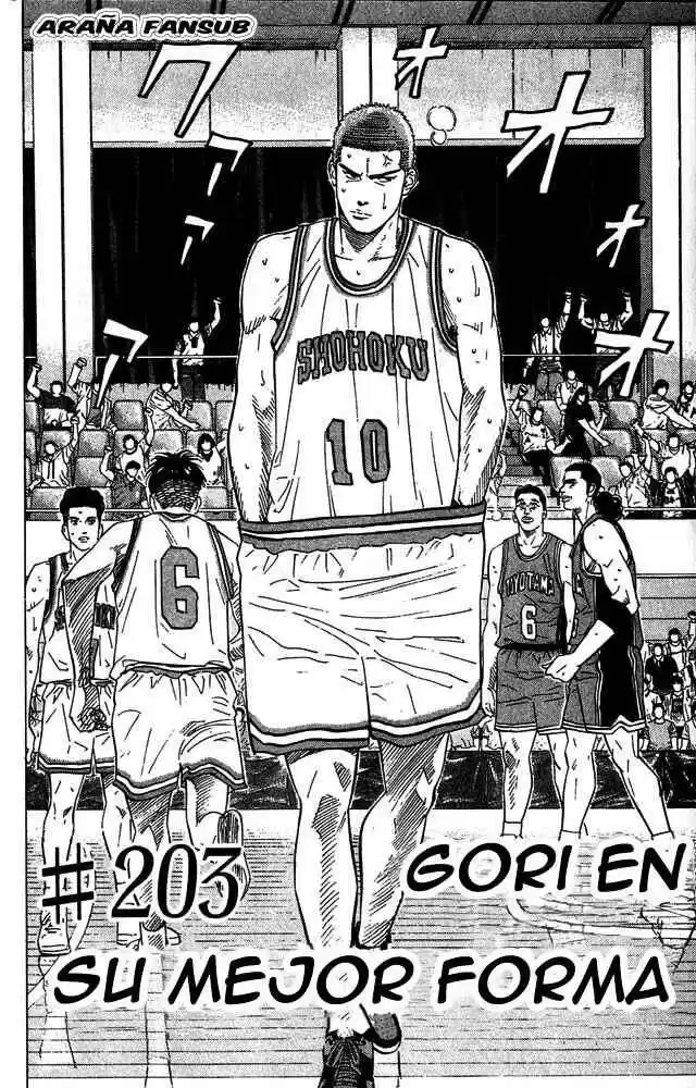 Slam Dunk Capitulo 203 página 2