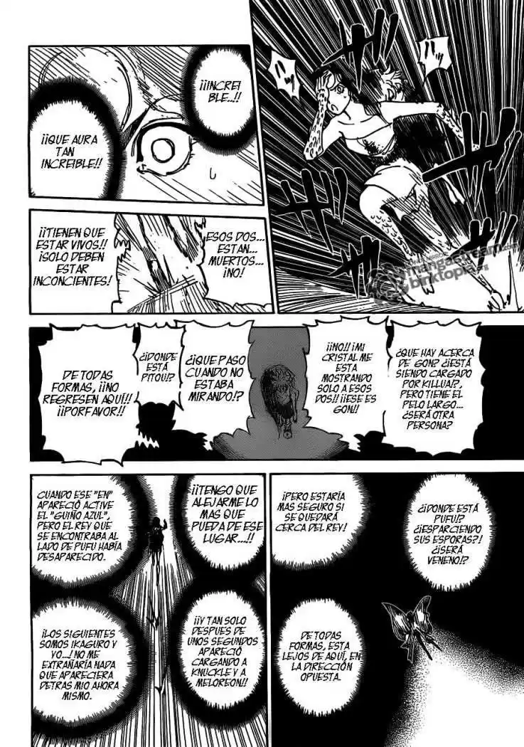 Hunter X Hunter Capitulo 309 página 11