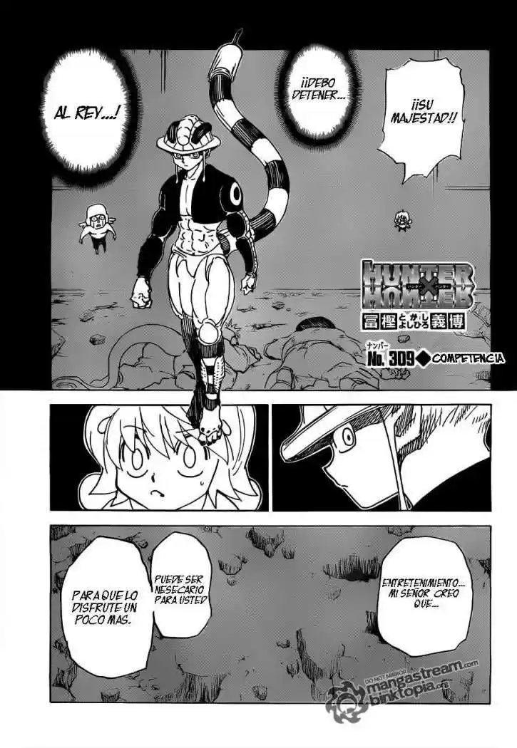 Hunter X Hunter Capitulo 309 página 2