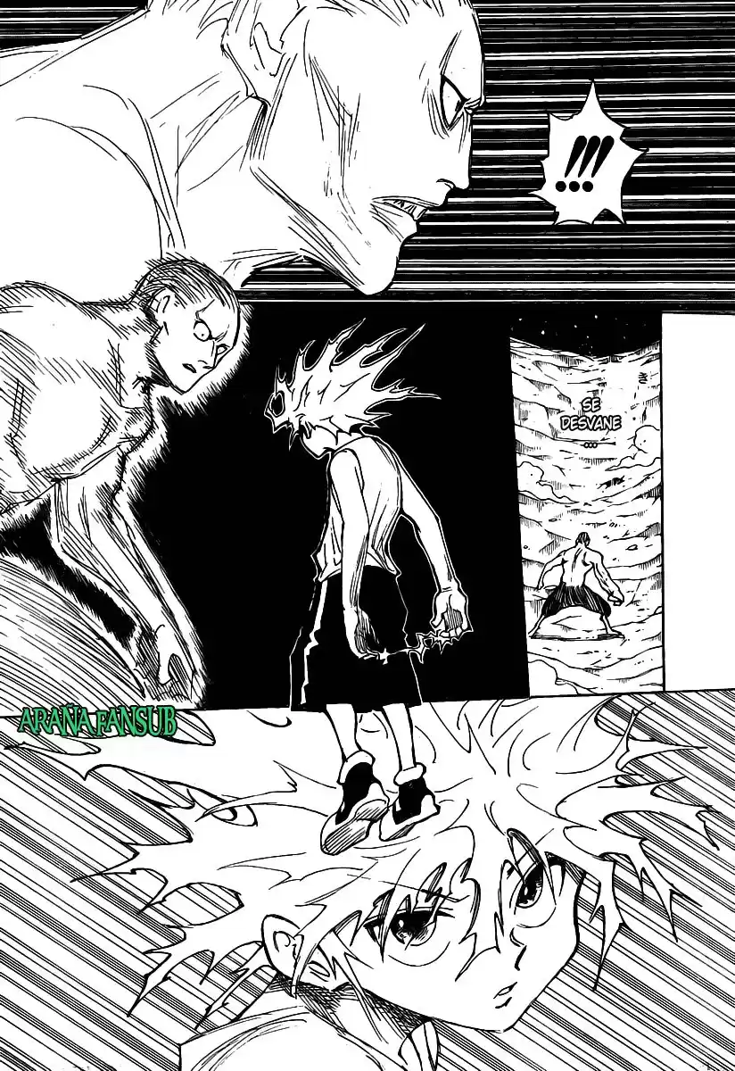 Hunter X Hunter Capitulo 281 página 11