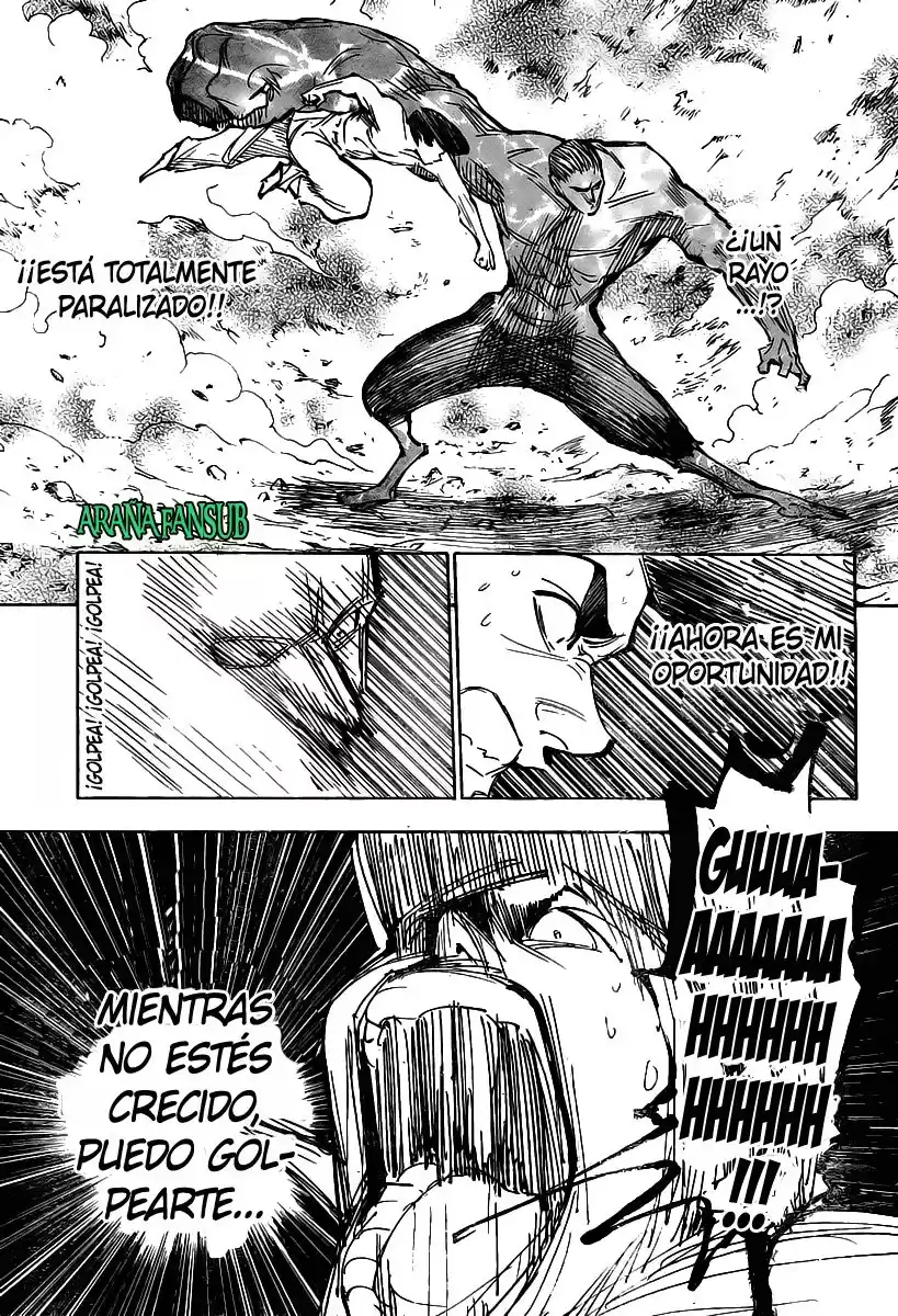 Hunter X Hunter Capitulo 281 página 4