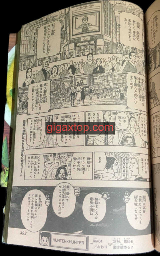 Hunter X Hunter Capitulo 404 página 19