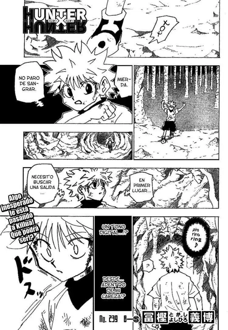 Hunter X Hunter Capitulo 239 página 1