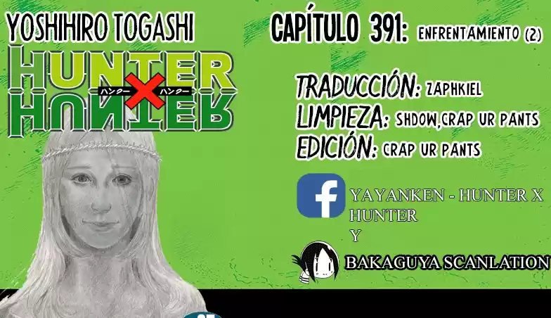 Hunter X Hunter Capitulo 391: Enfrentamiento (2) página 2