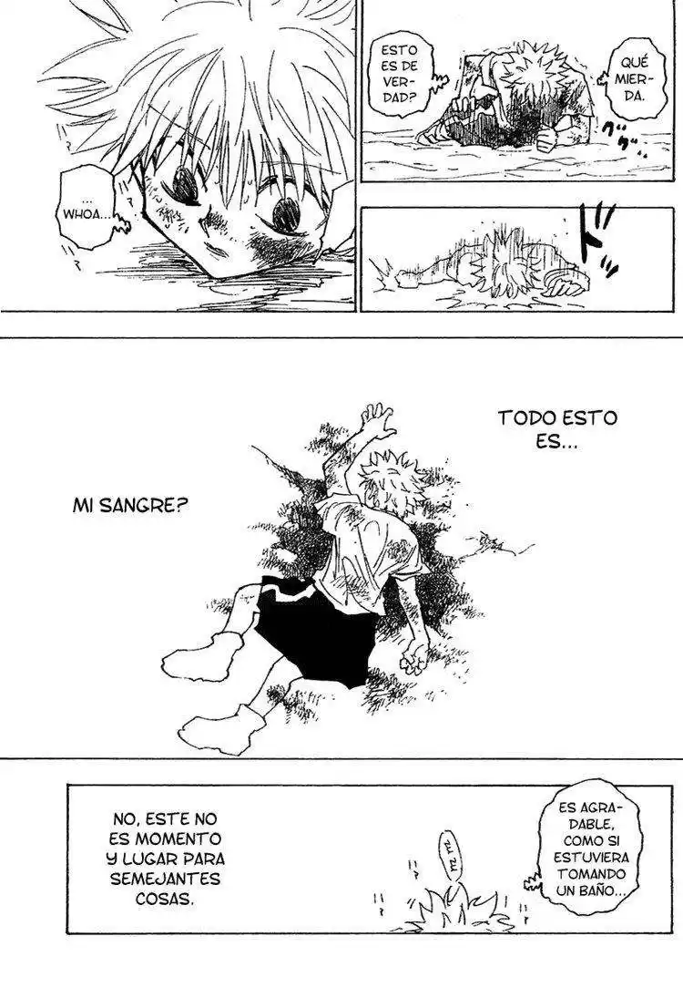 Hunter X Hunter Capitulo 241 página 3