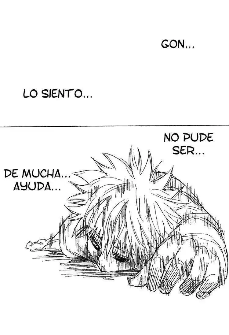 Hunter X Hunter Capitulo 241 página 6