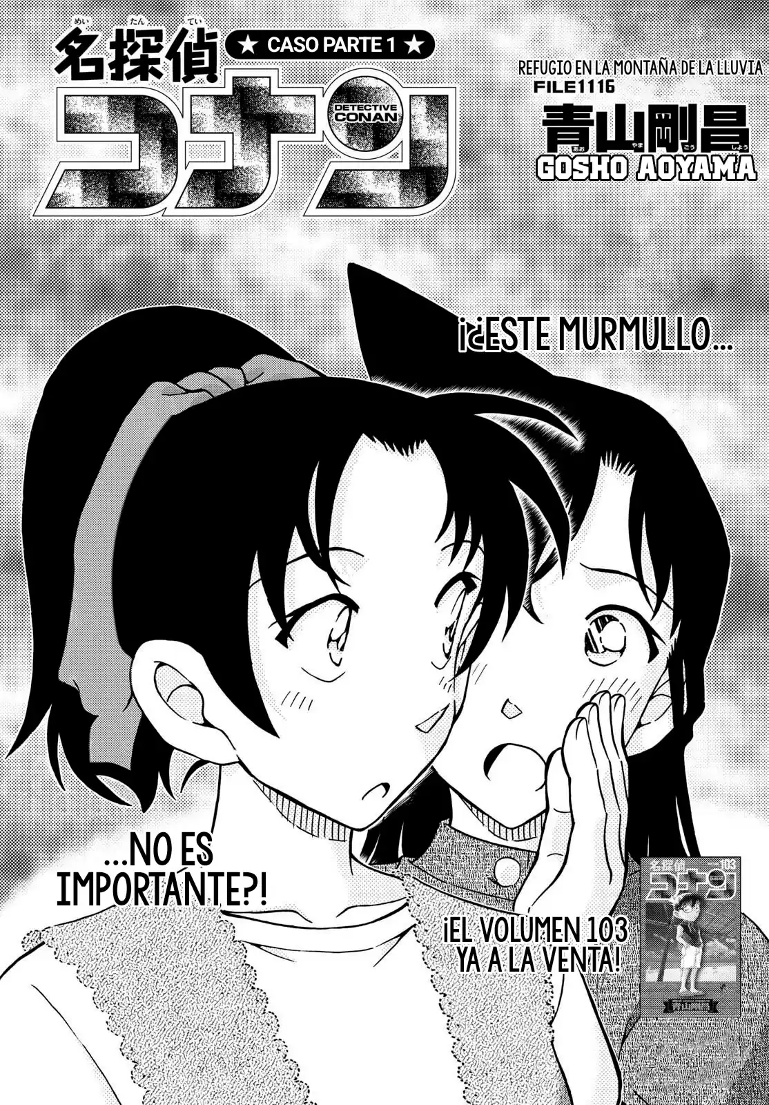 Detective Conan (Català) Capitulo 1116 página 2