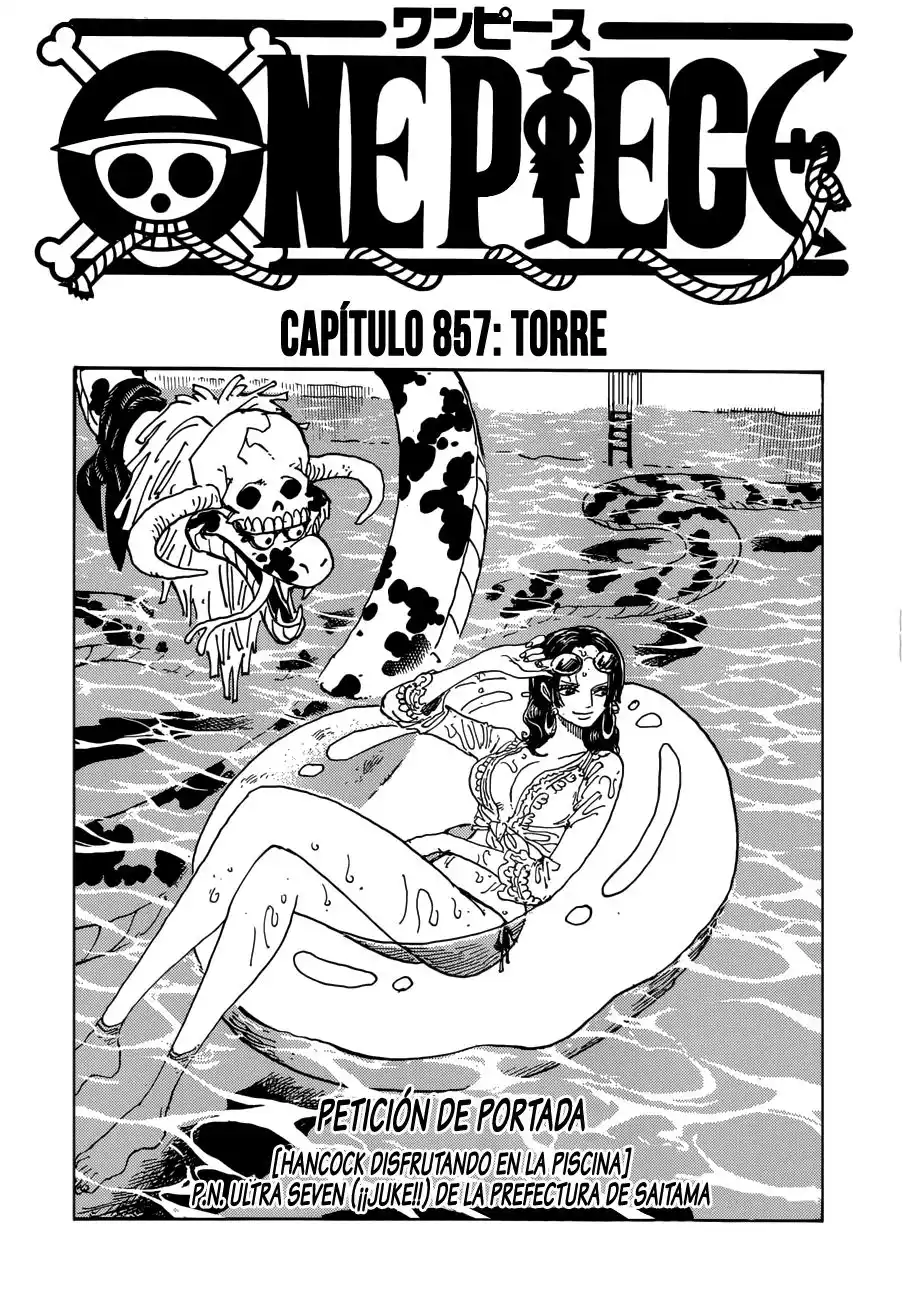 ONE PIECE Capitulo 857: Torre página 2