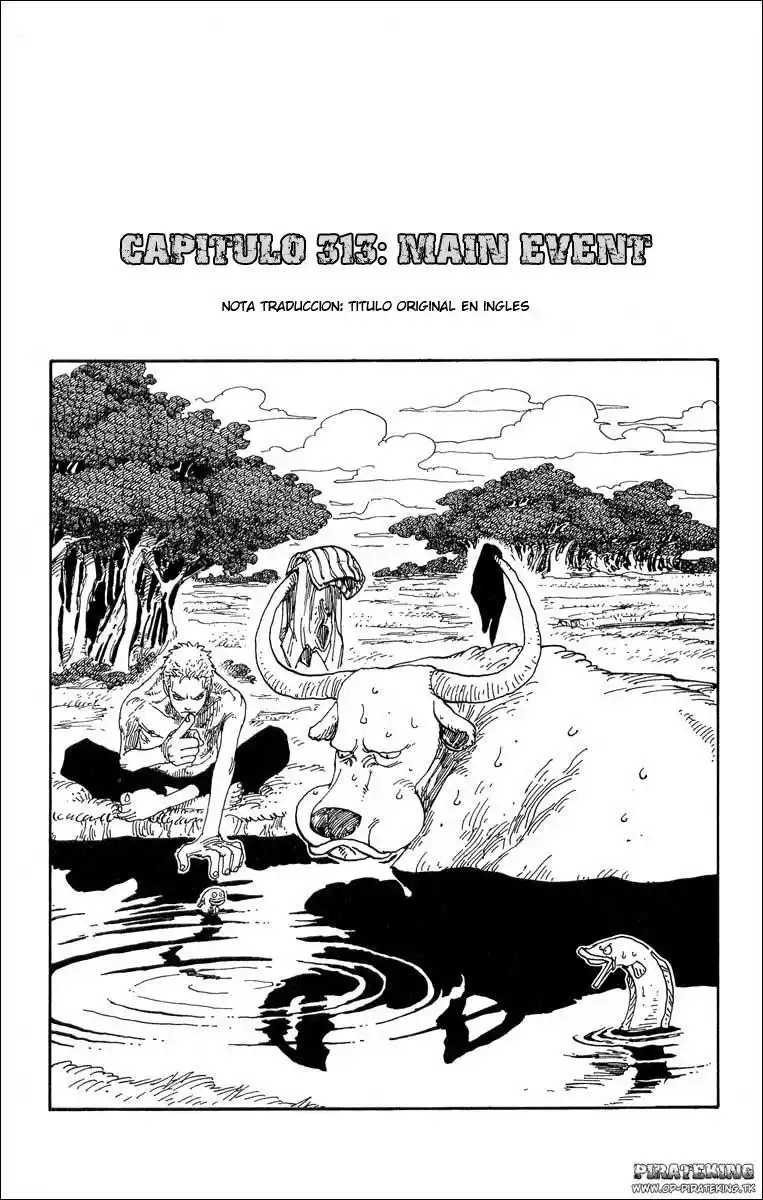 ONE PIECE Capitulo 313 página 1