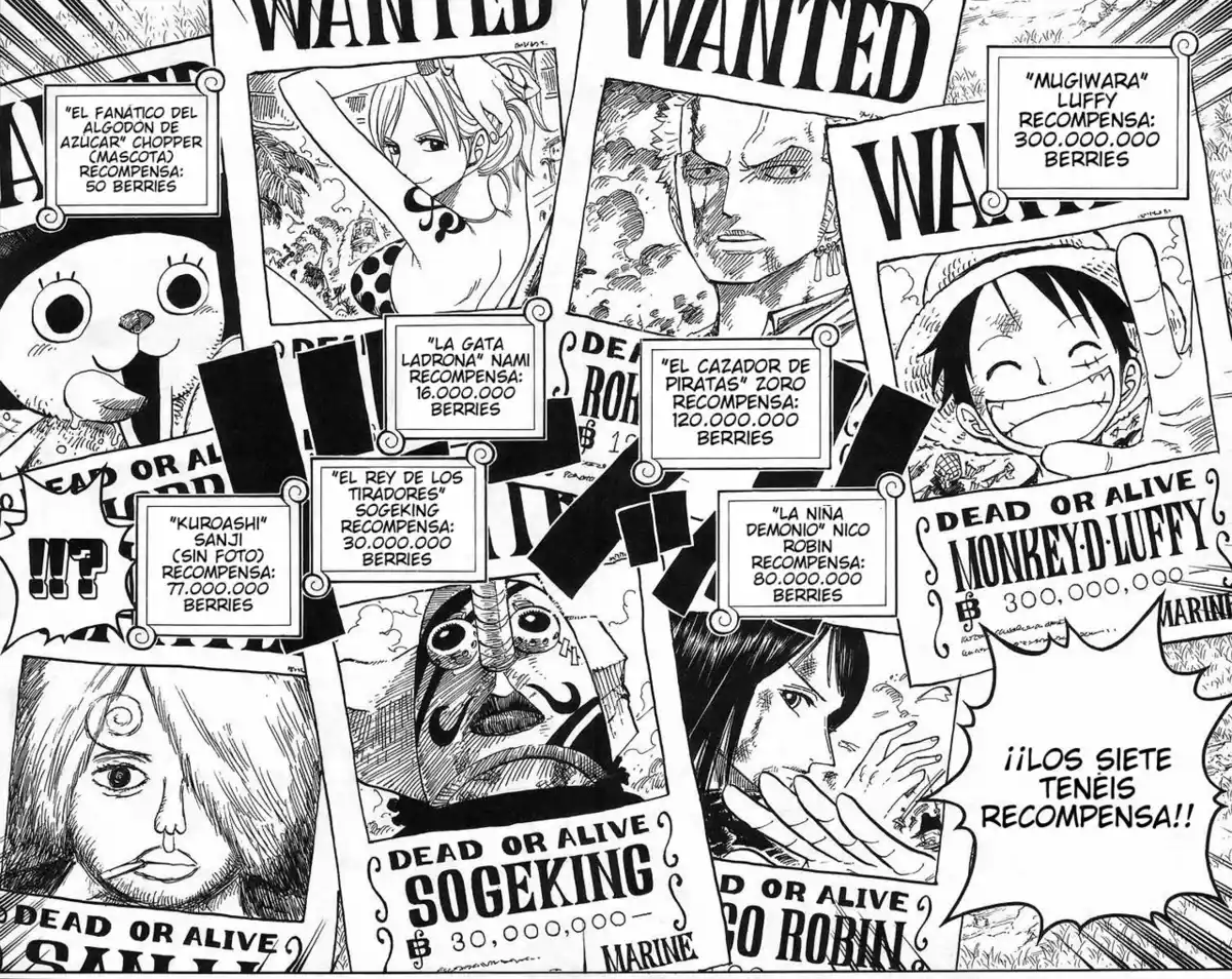 ONE PIECE Capitulo 435 página 16