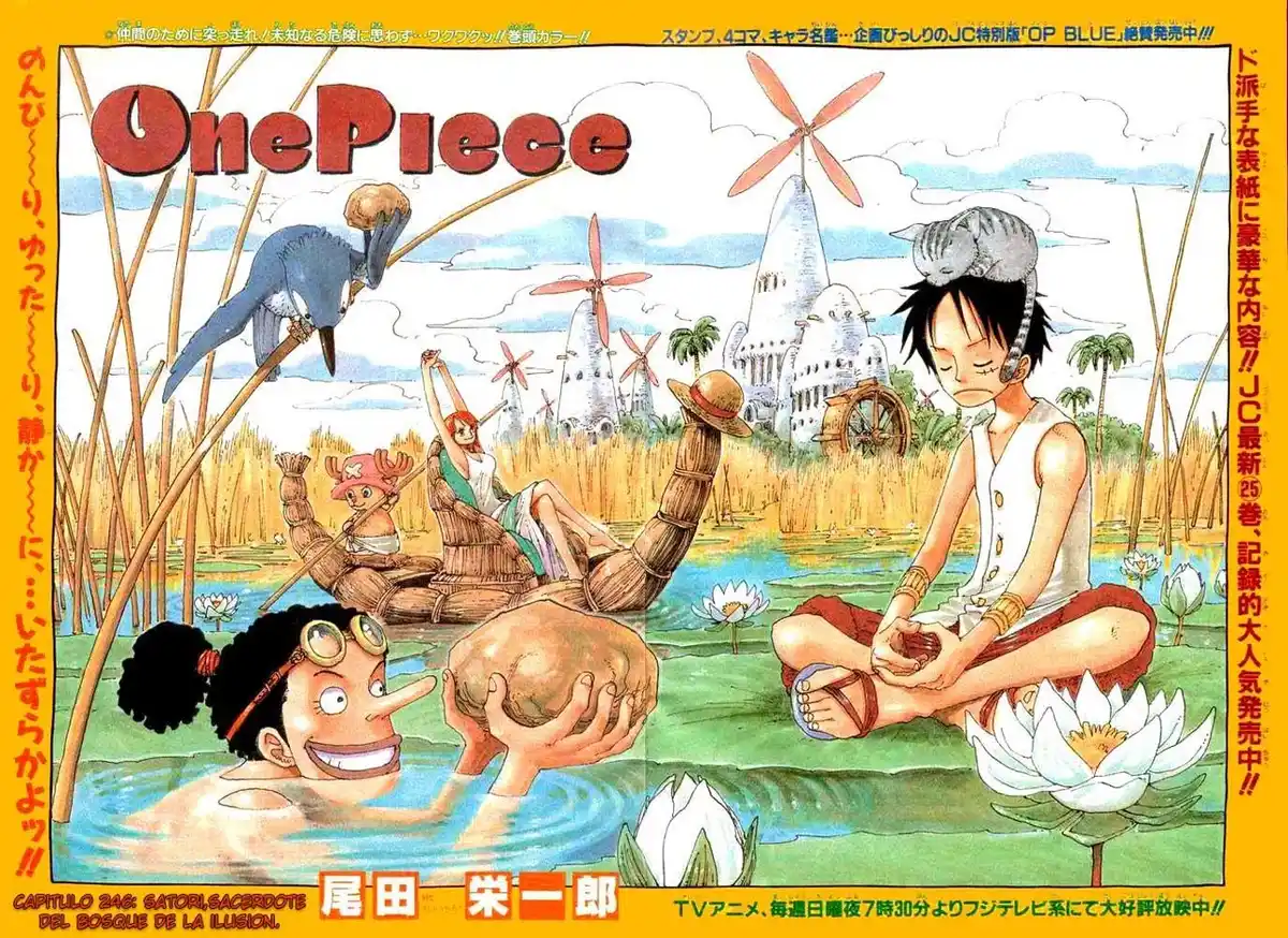 ONE PIECE Capitulo 246 página 1