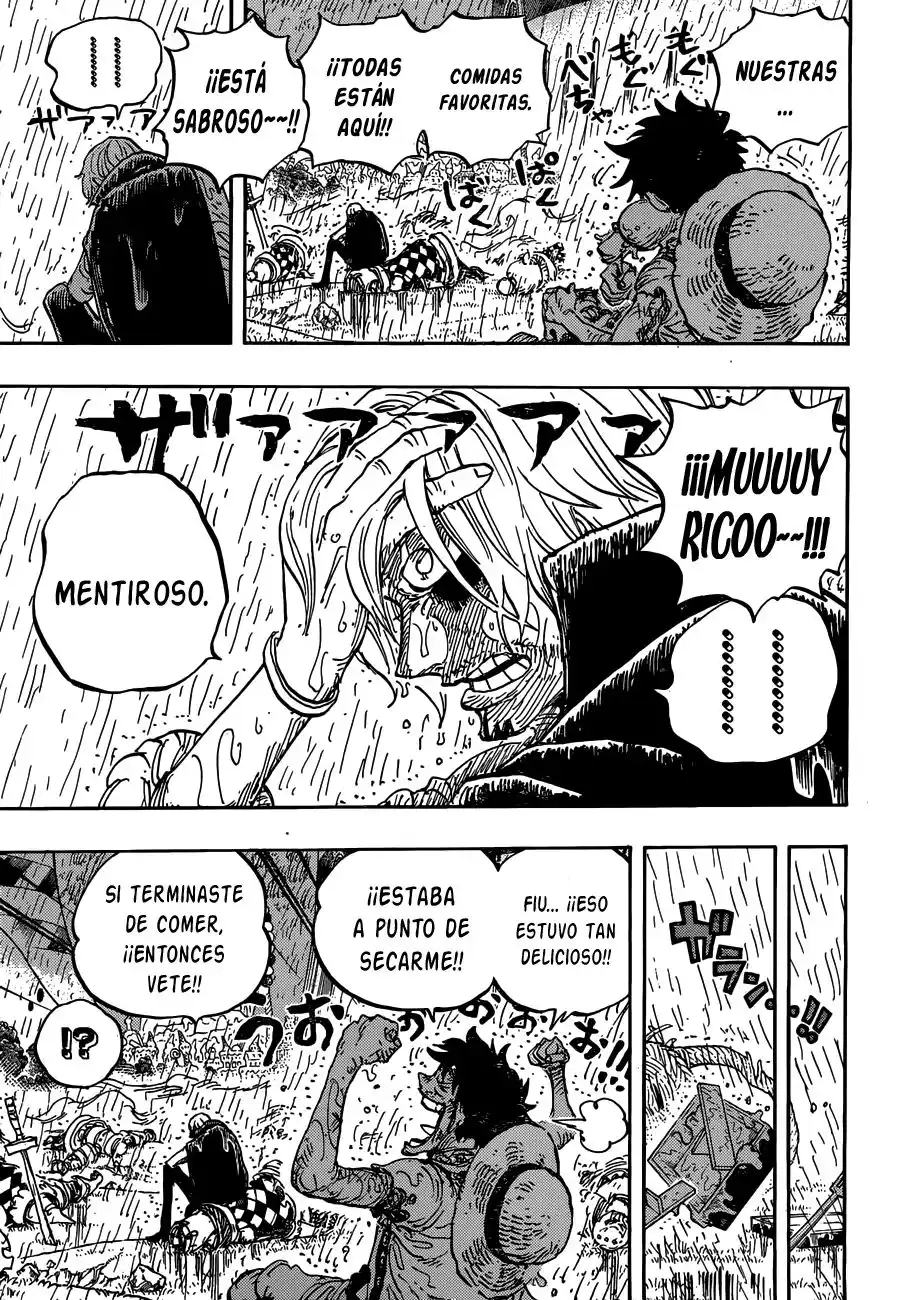 ONE PIECE Capitulo 856: Mentiroso página 12