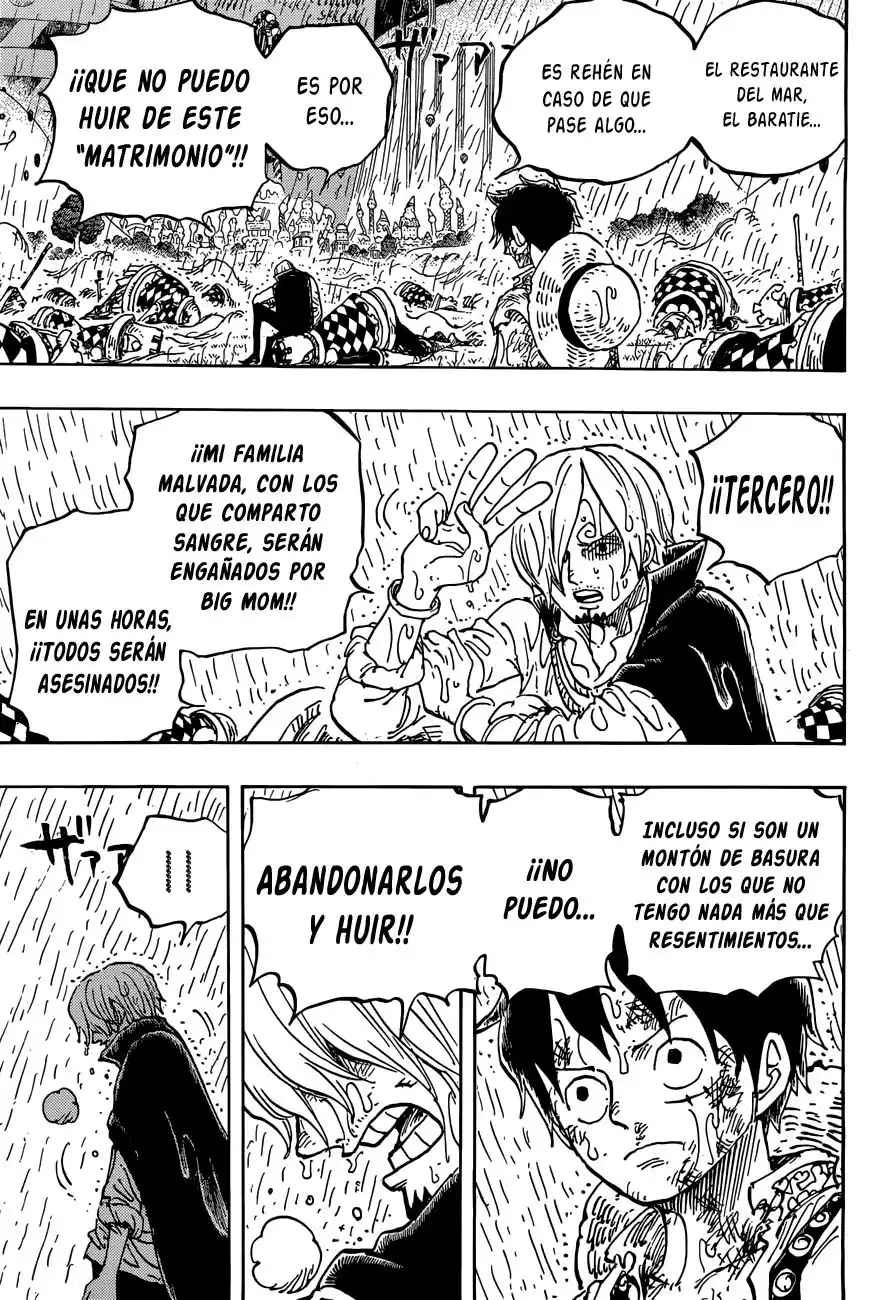 ONE PIECE Capitulo 856: Mentiroso página 14