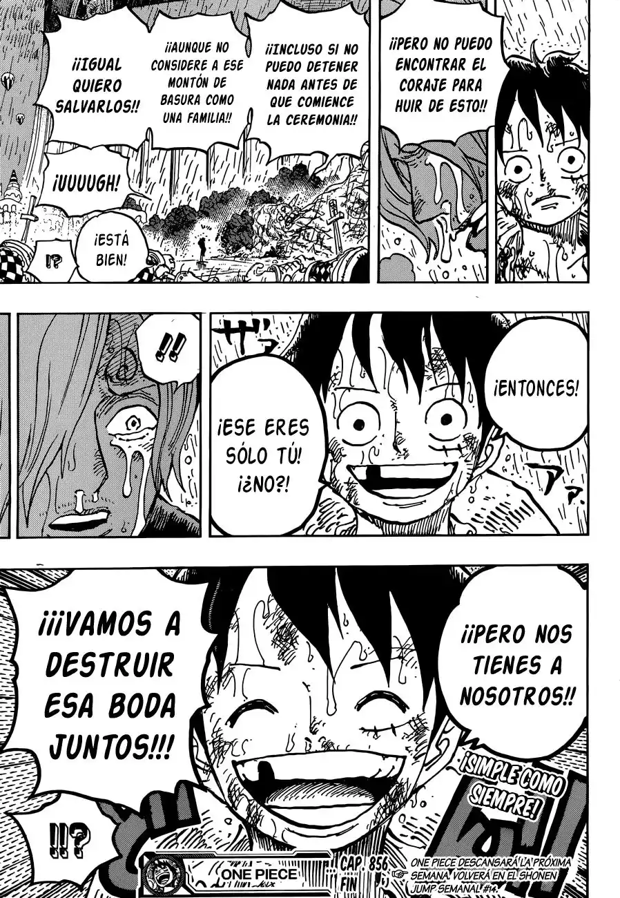 ONE PIECE Capitulo 856: Mentiroso página 18