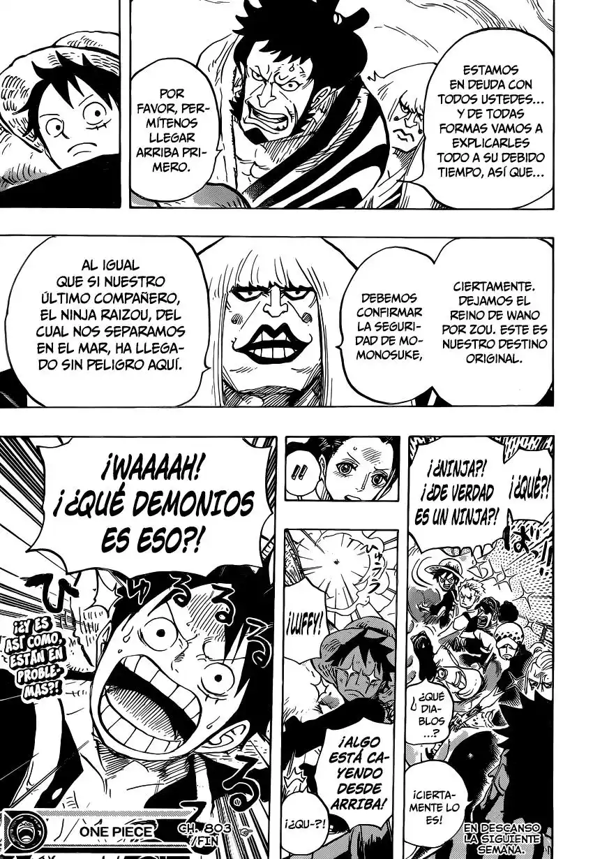 ONE PIECE Capitulo 803: Escalando el elefante página 14