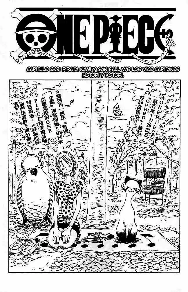 ONE PIECE Capitulo 263 página 1