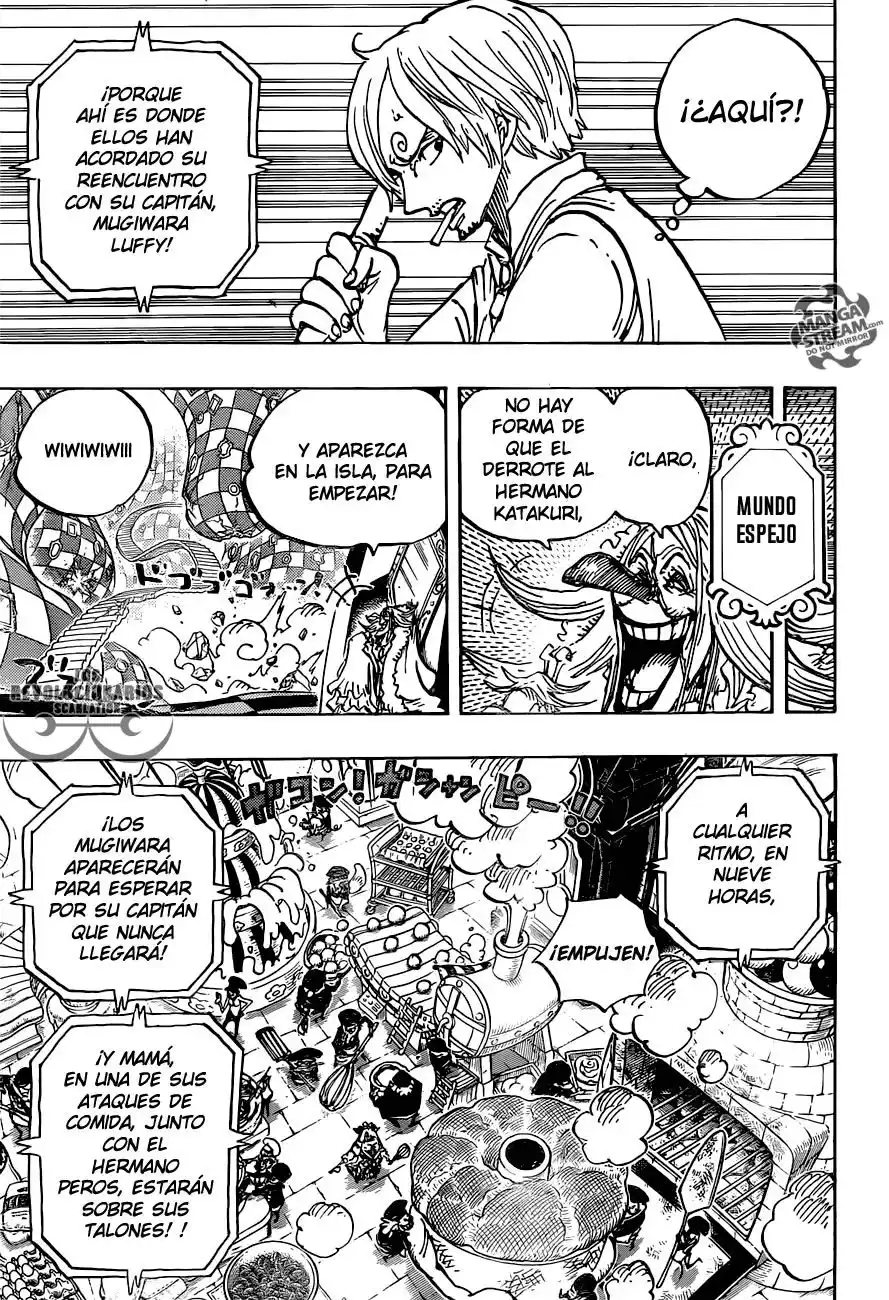 ONE PIECE Capitulo 884: ¿QUIEN? página 14