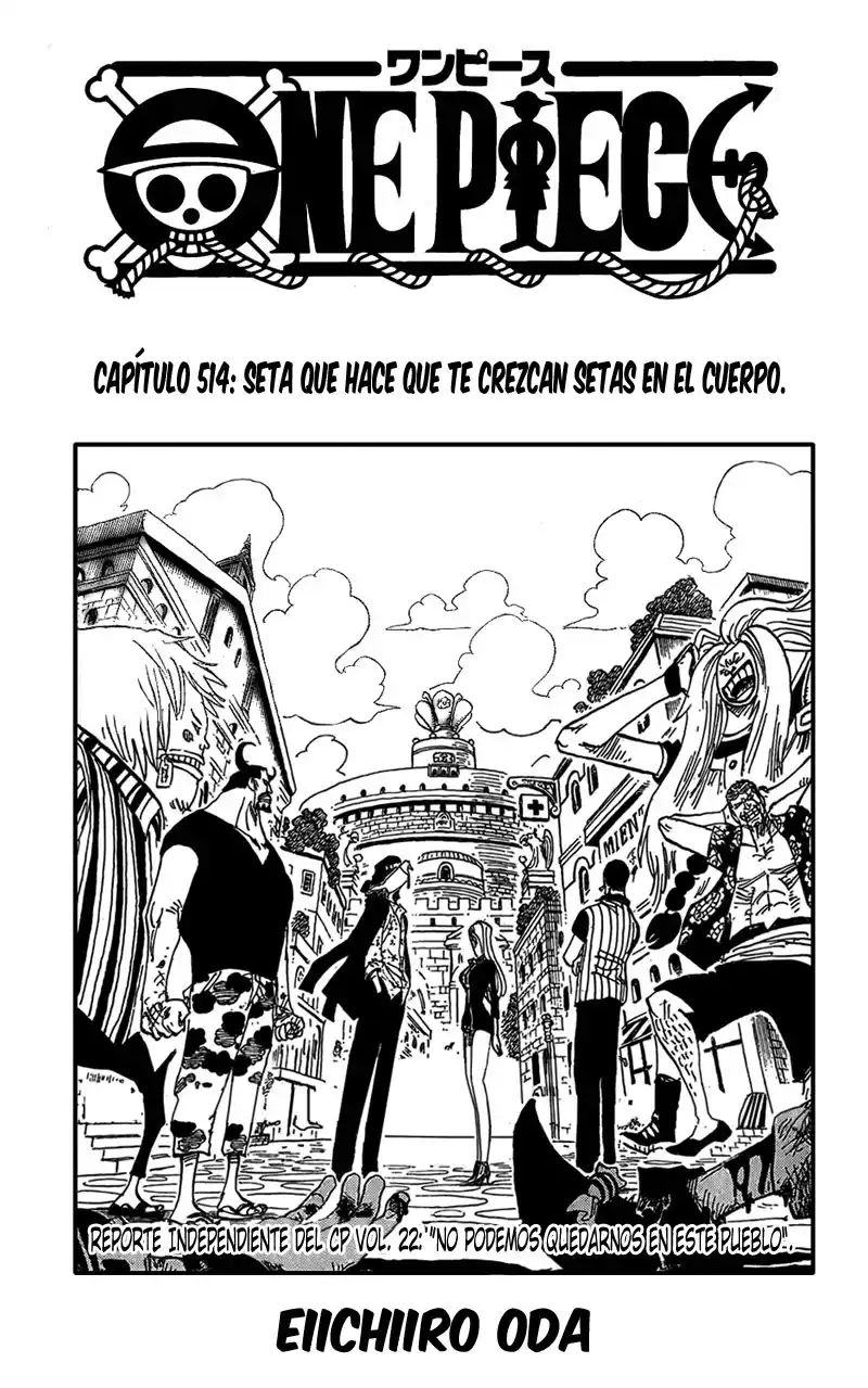 ONE PIECE Capitulo 514 página 1