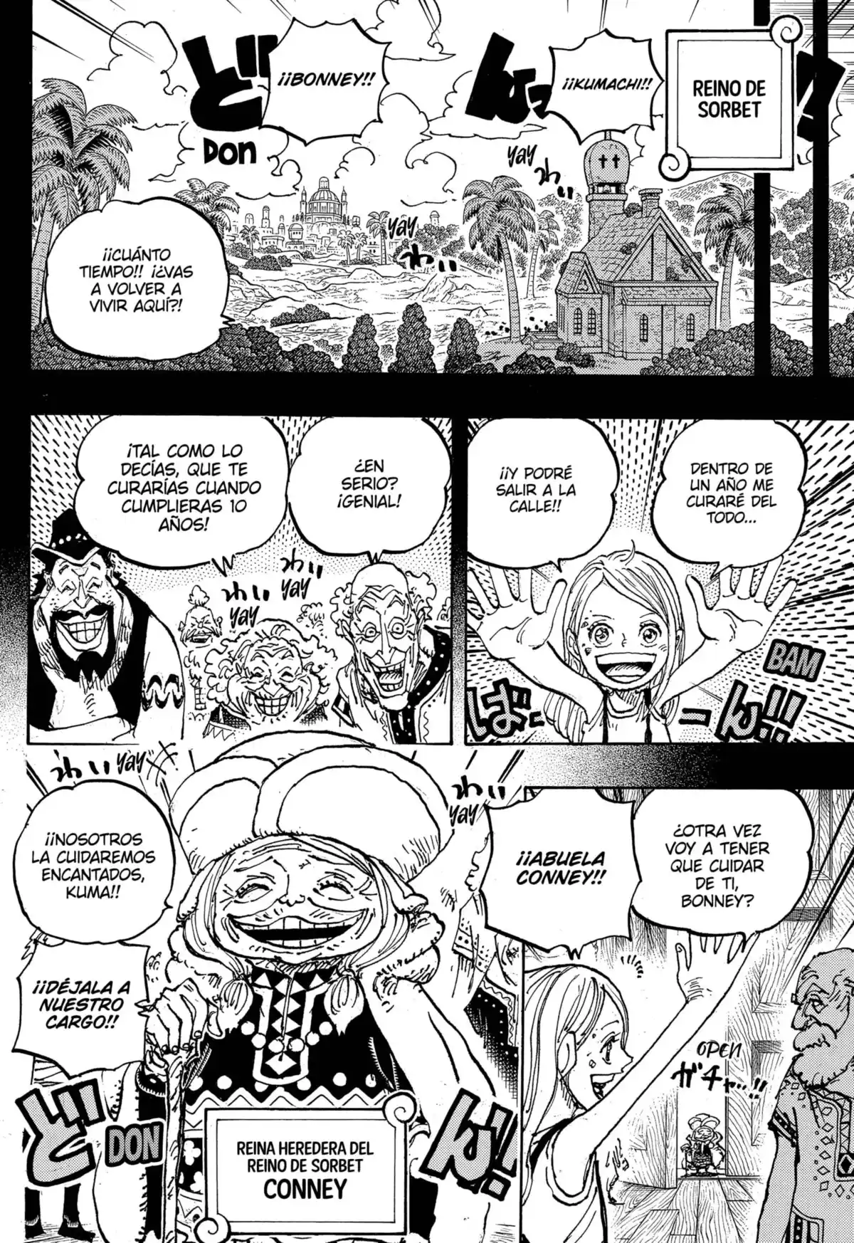 ONE PIECE Capitulo 1100: Gracias, Bonney página 12