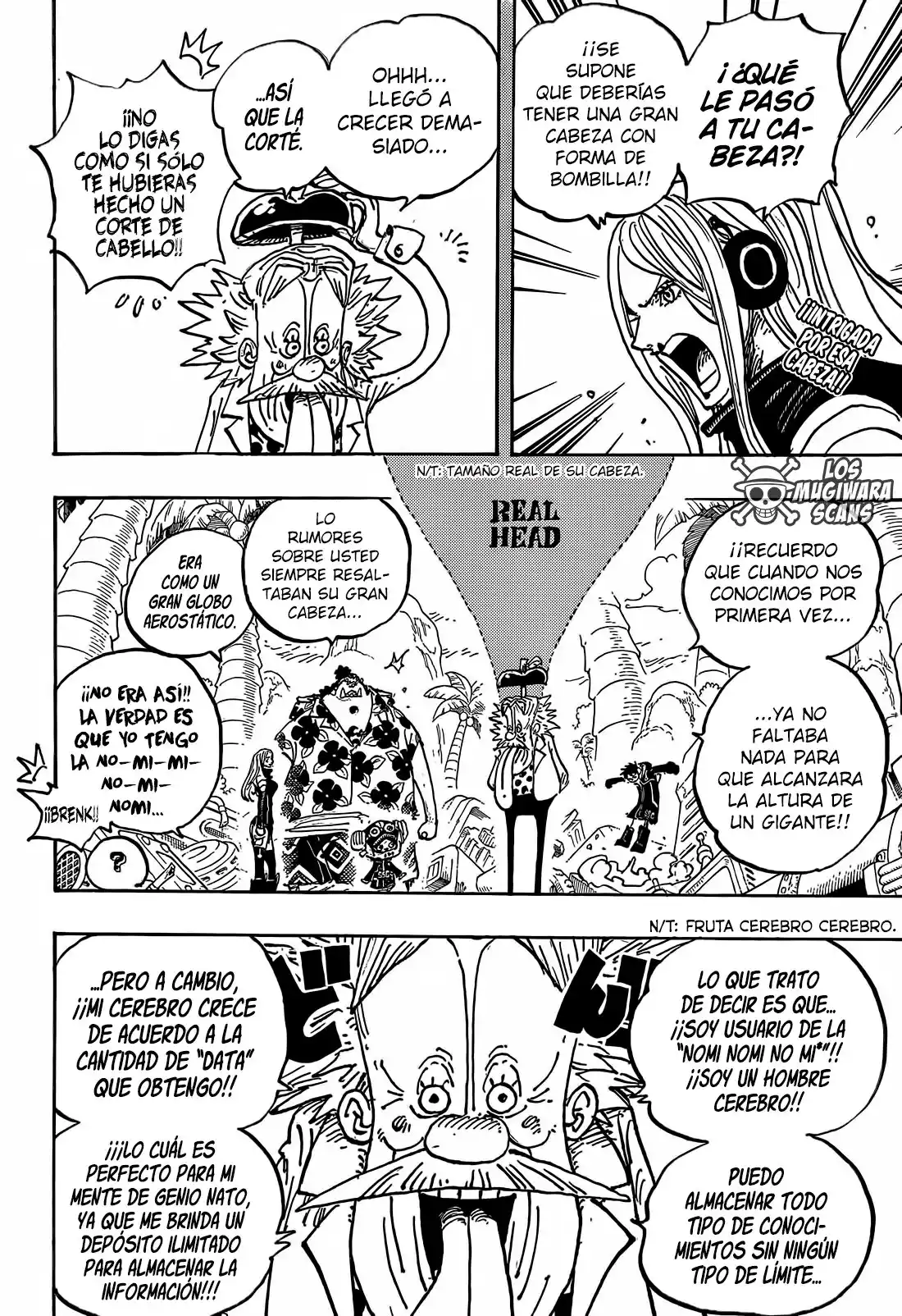 ONE PIECE Capitulo 1067 página 3