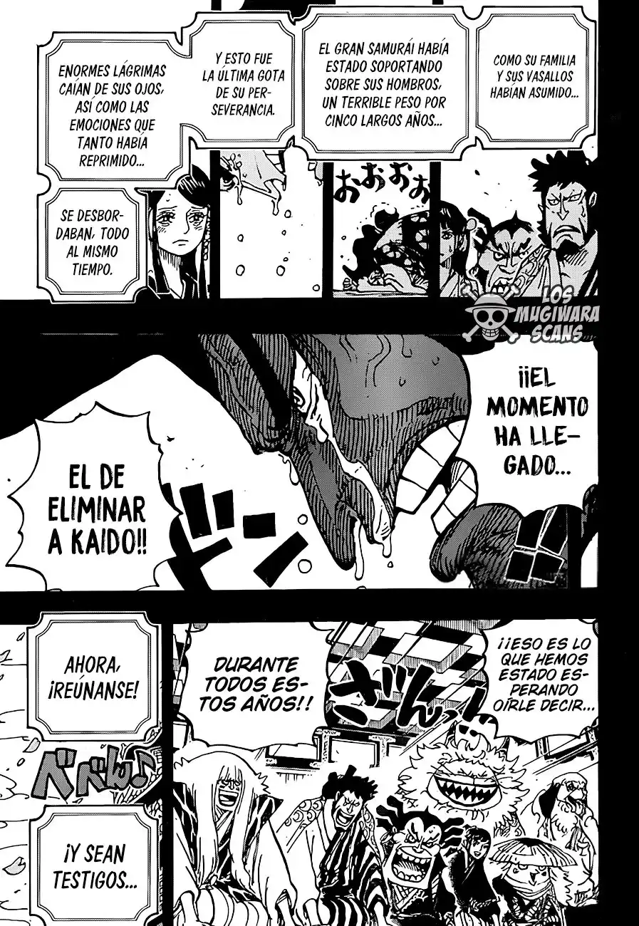 ONE PIECE Capitulo 969 página 15