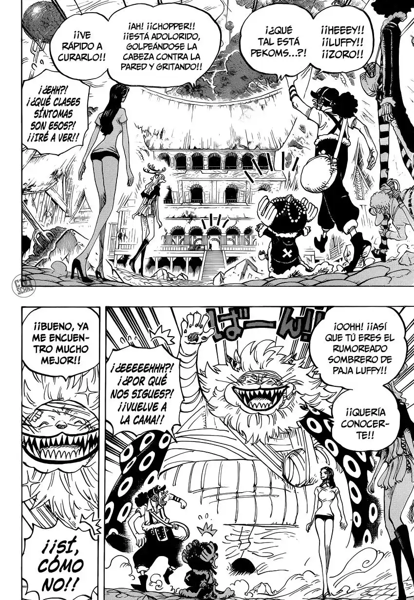 ONE PIECE Capitulo 815: Llévame contigo página 11