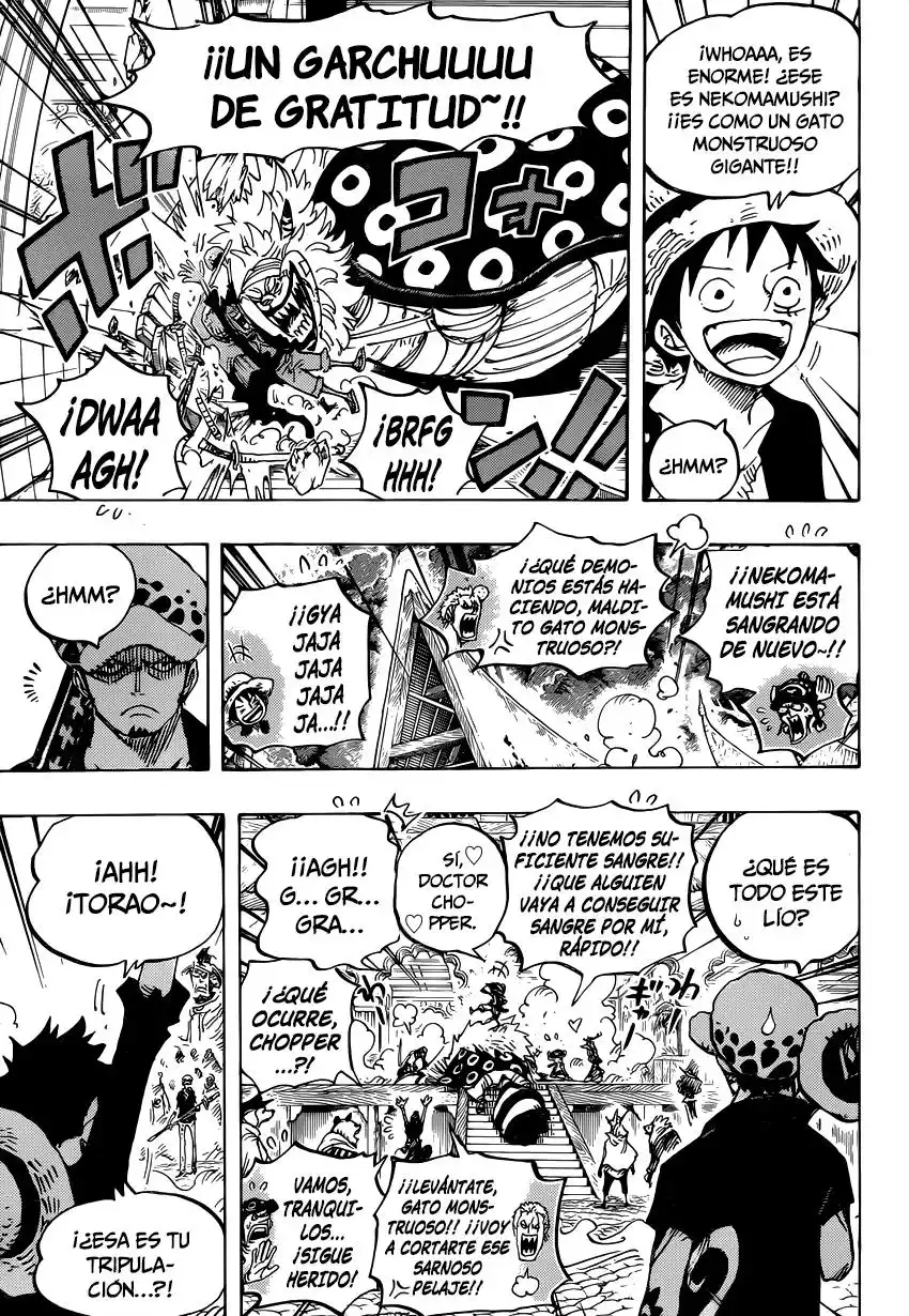 ONE PIECE Capitulo 815: Llévame contigo página 12