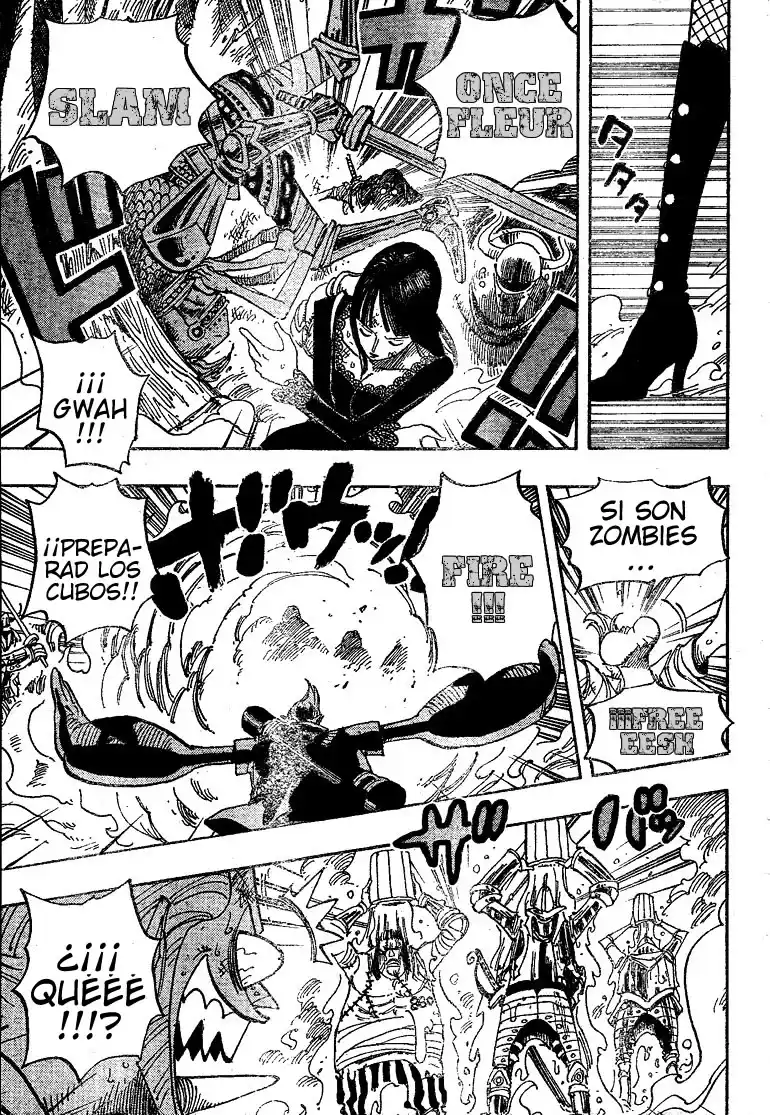 ONE PIECE Capitulo 452 página 14