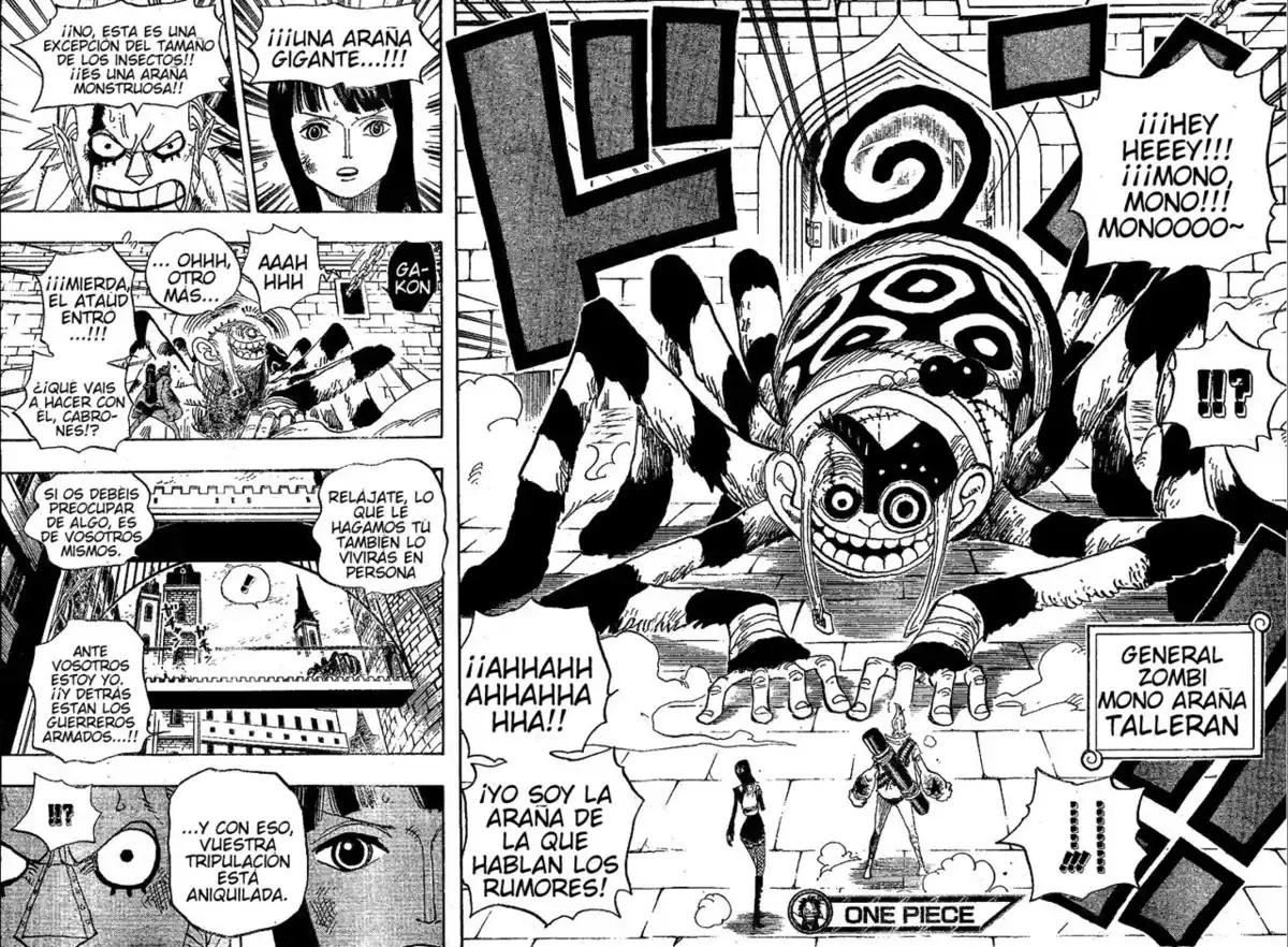 ONE PIECE Capitulo 452 página 17