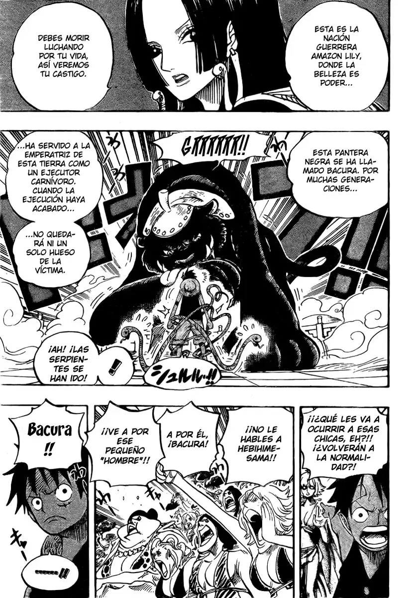 ONE PIECE Capitulo 518 página 13