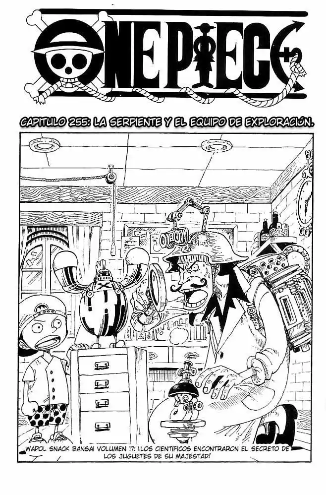 ONE PIECE Capitulo 255 página 1