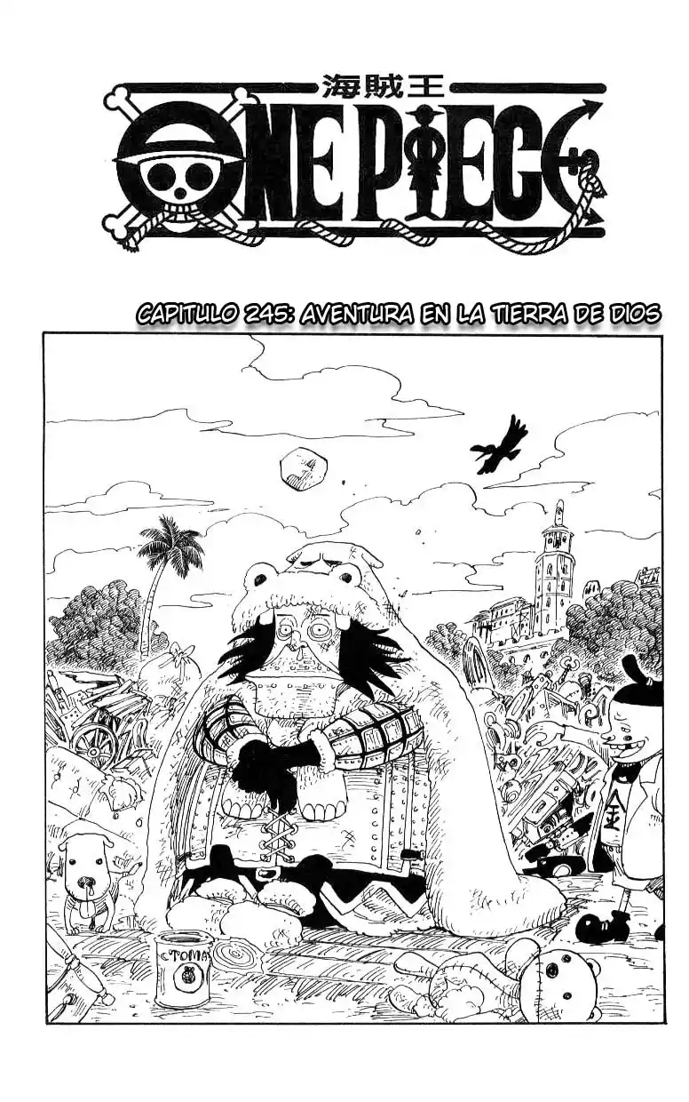 ONE PIECE Capitulo 245 página 1