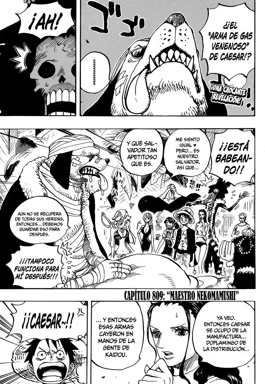 ONE PIECE Capitulo 809: Maestro Nekomamushi página 4