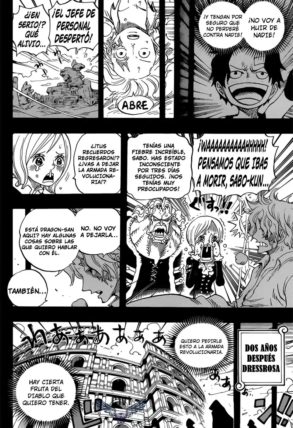 ONE PIECE Capitulo 794 página 11