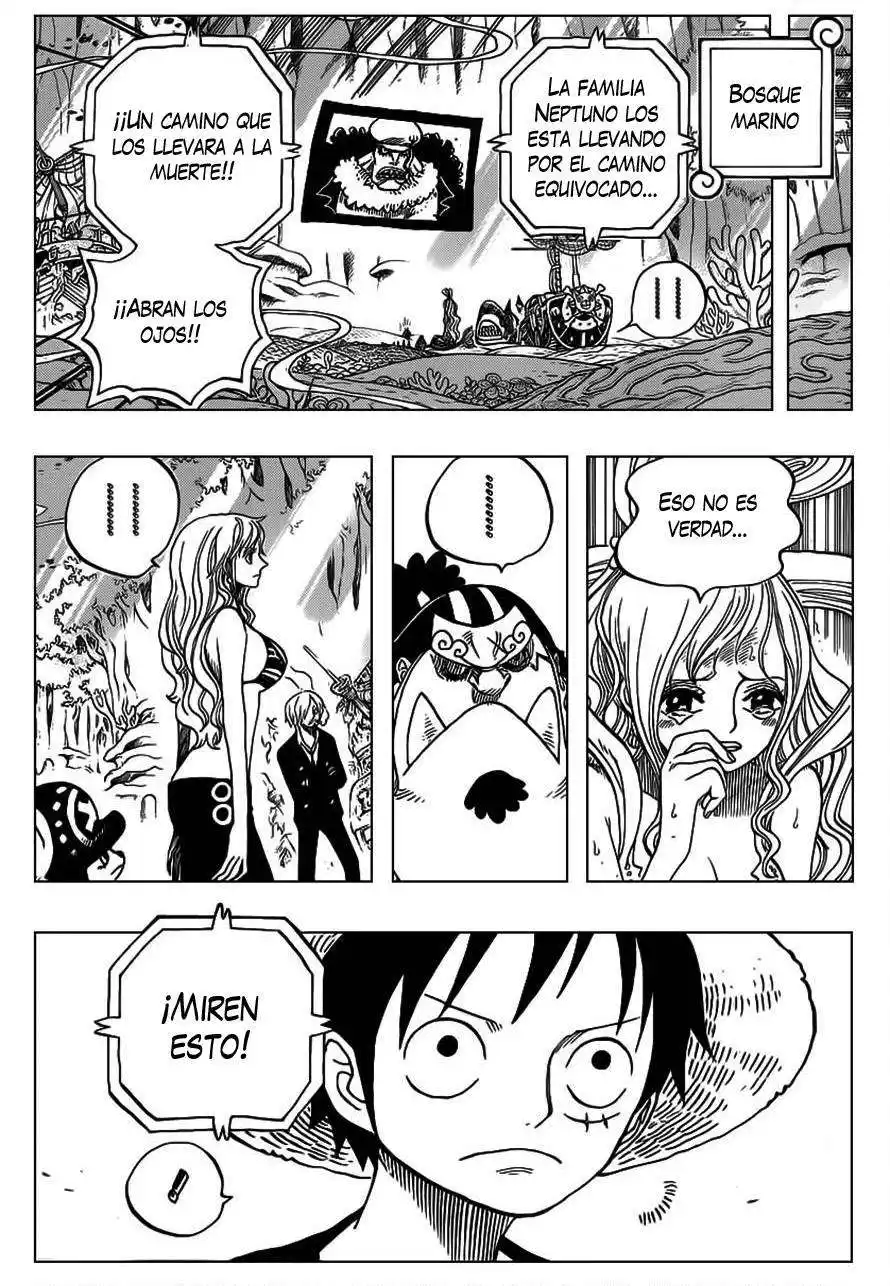 ONE PIECE Capitulo 628 página 9