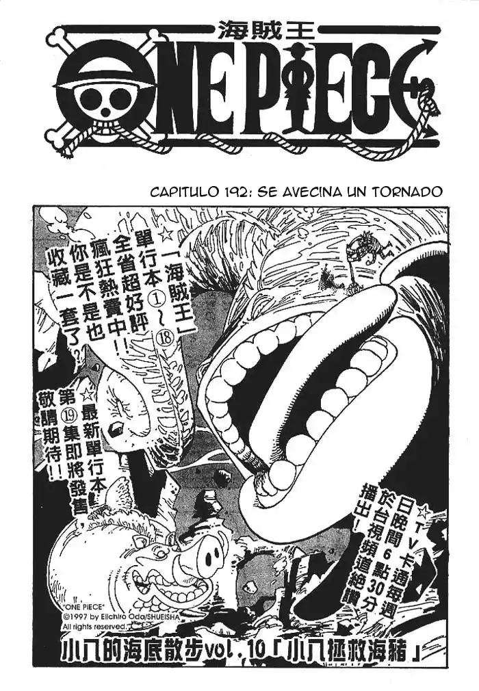 ONE PIECE Capitulo 192 página 1