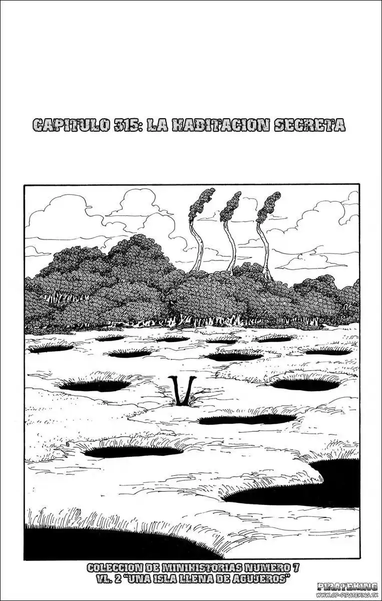 ONE PIECE Capitulo 315 página 1