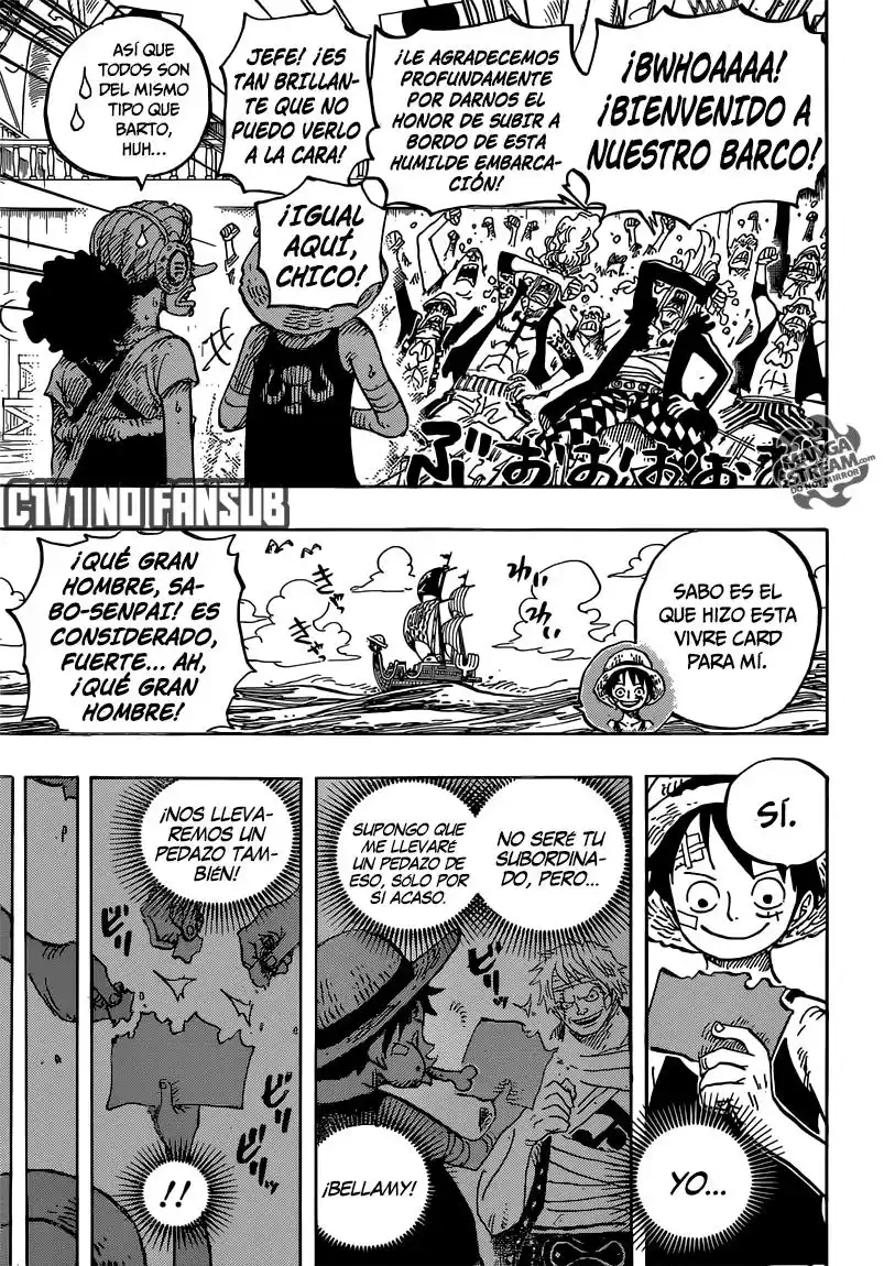 ONE PIECE Capitulo 801 página 14