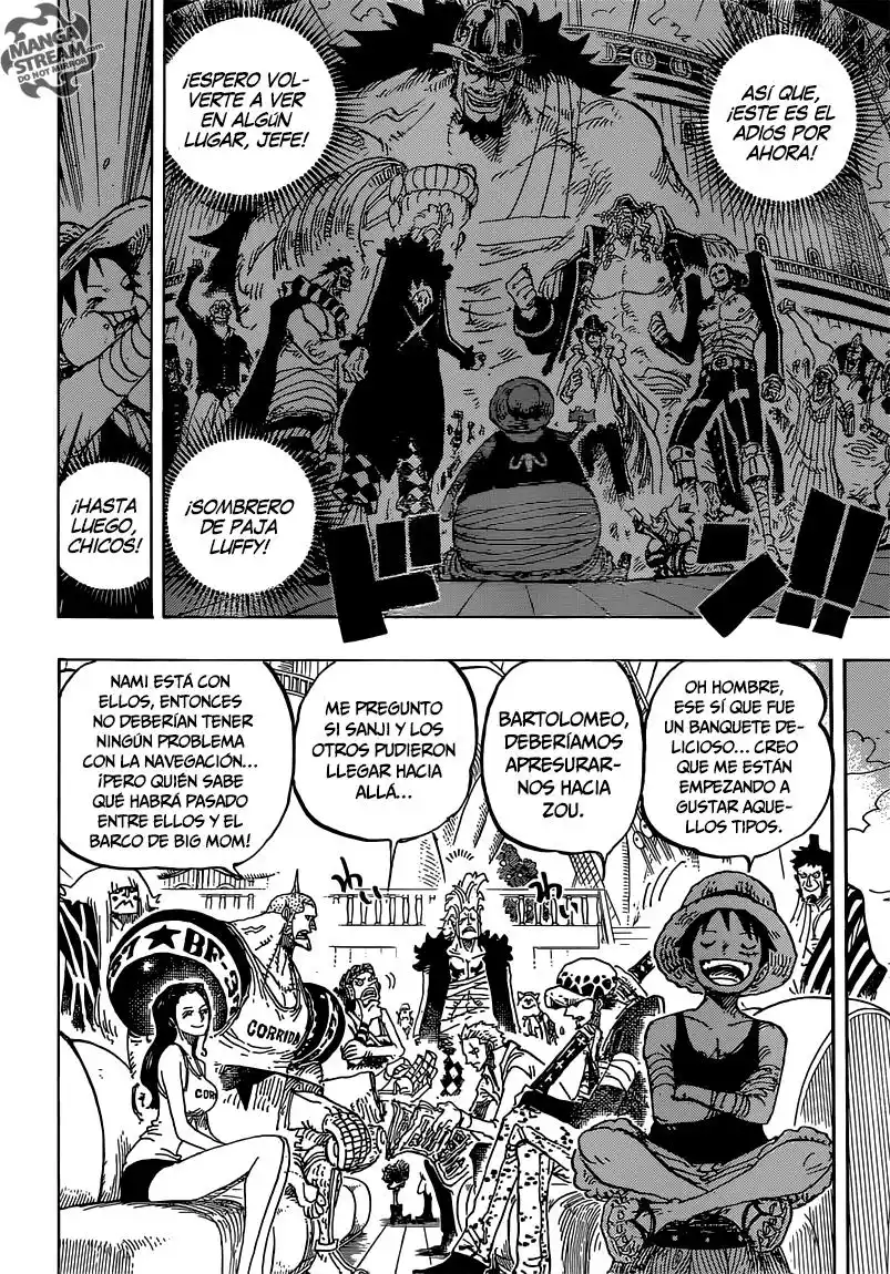 ONE PIECE Capitulo 801 página 15