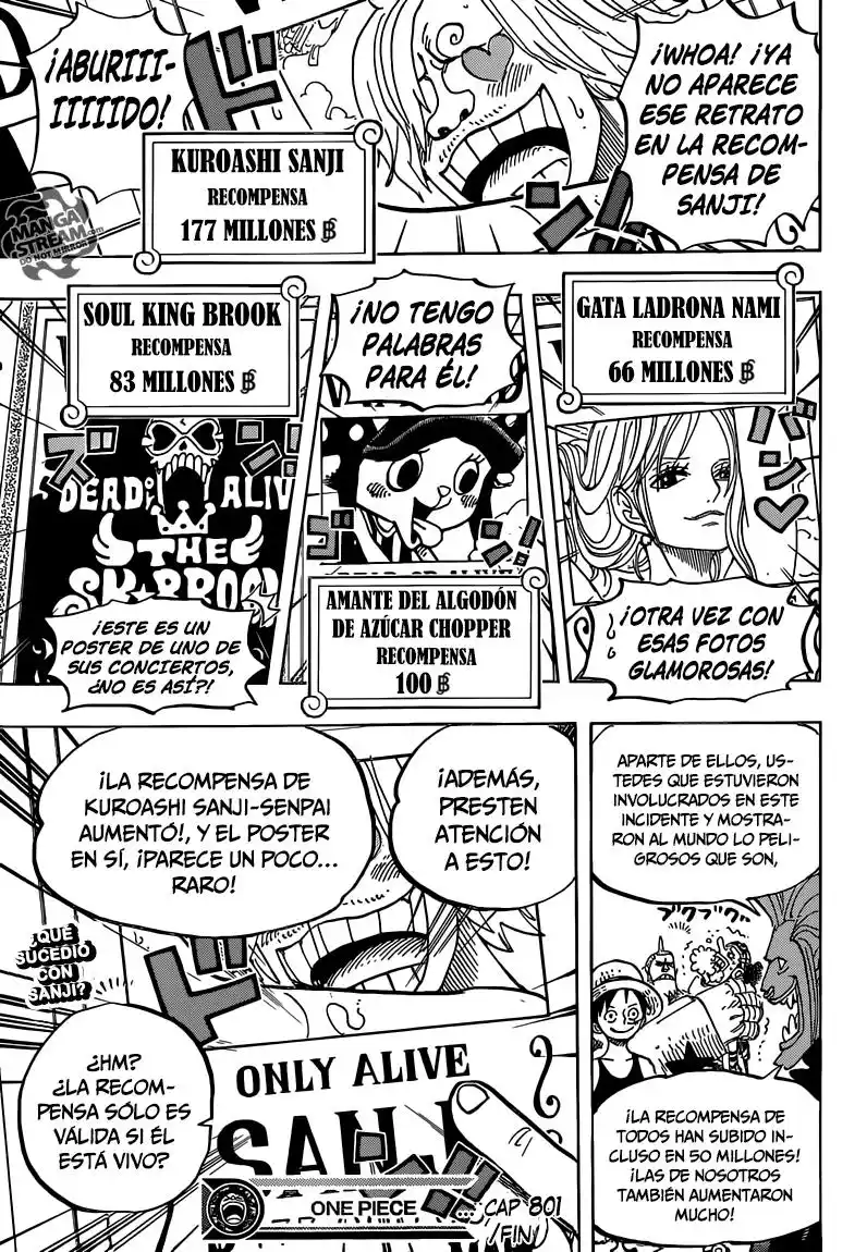 ONE PIECE Capitulo 801 página 18