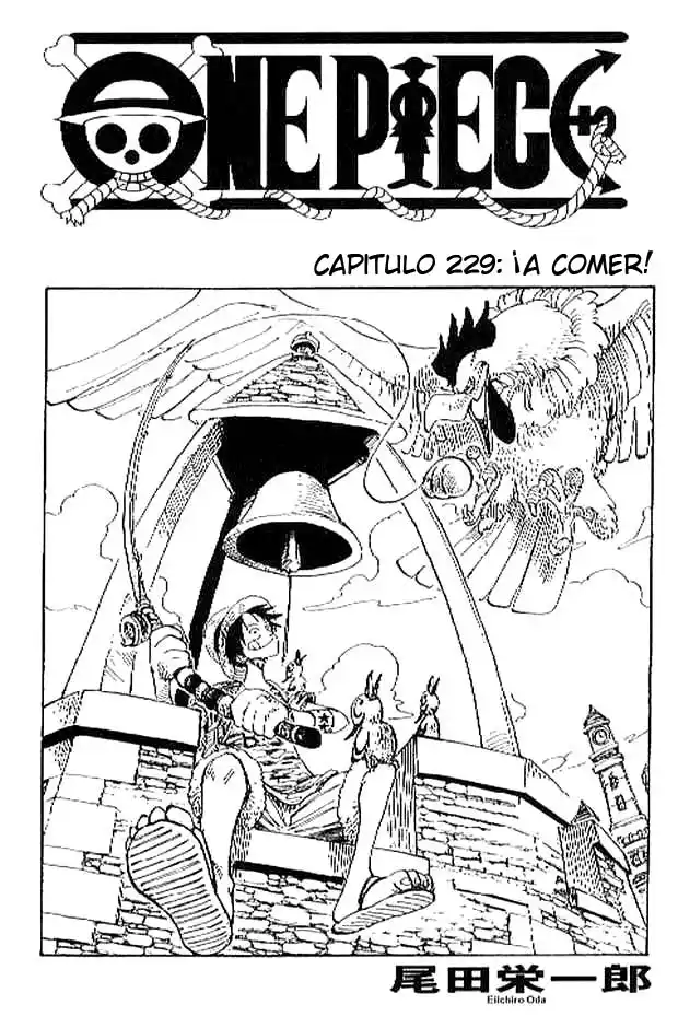 ONE PIECE Capitulo 229 página 1