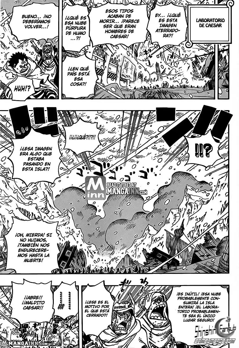 ONE PIECE Capitulo 676 página 11