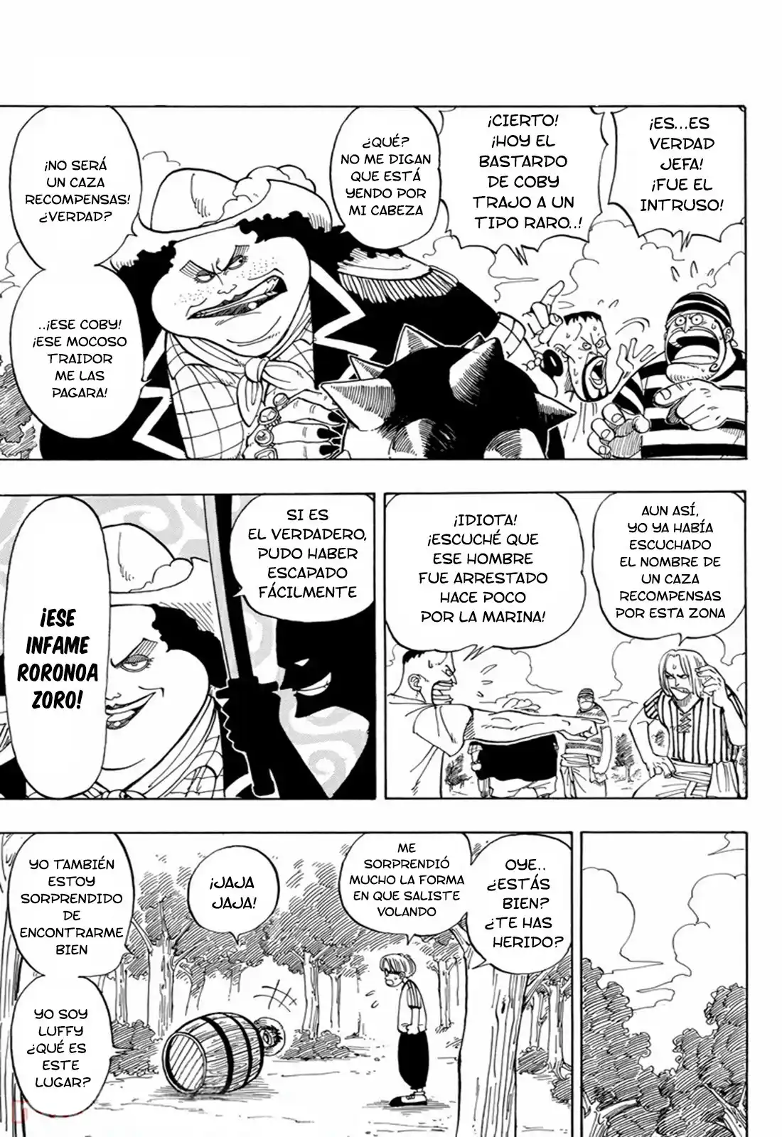 ONE PIECE Capitulo 2: "Ese Chico es, Luffy Sombrero de Paja" página 11