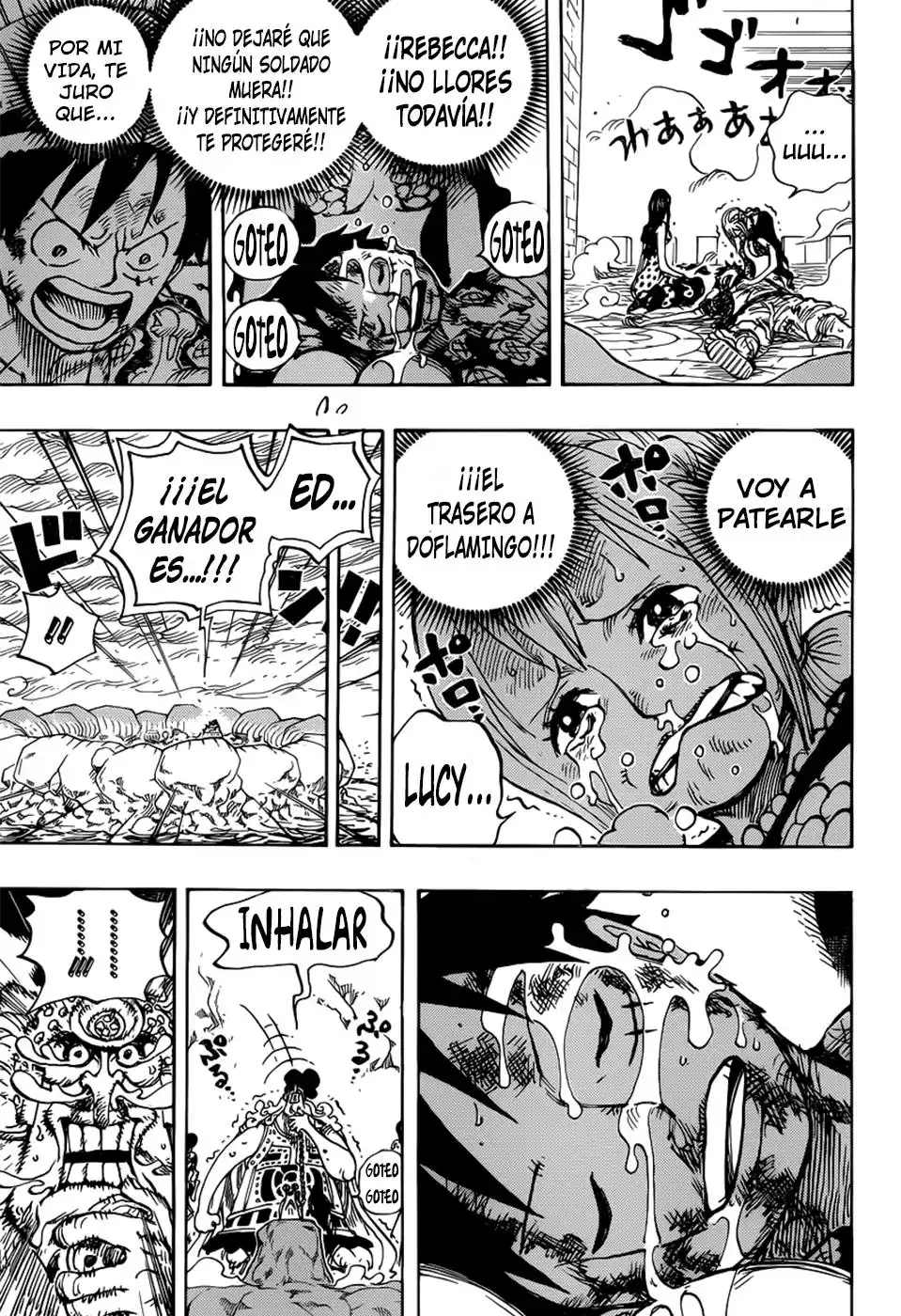 ONE PIECE Capitulo 791 página 13