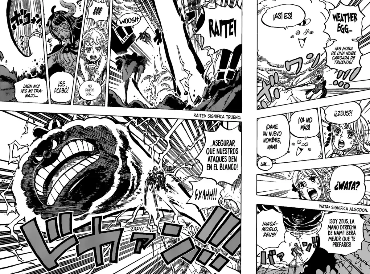 ONE PIECE Capitulo 1016 página 10