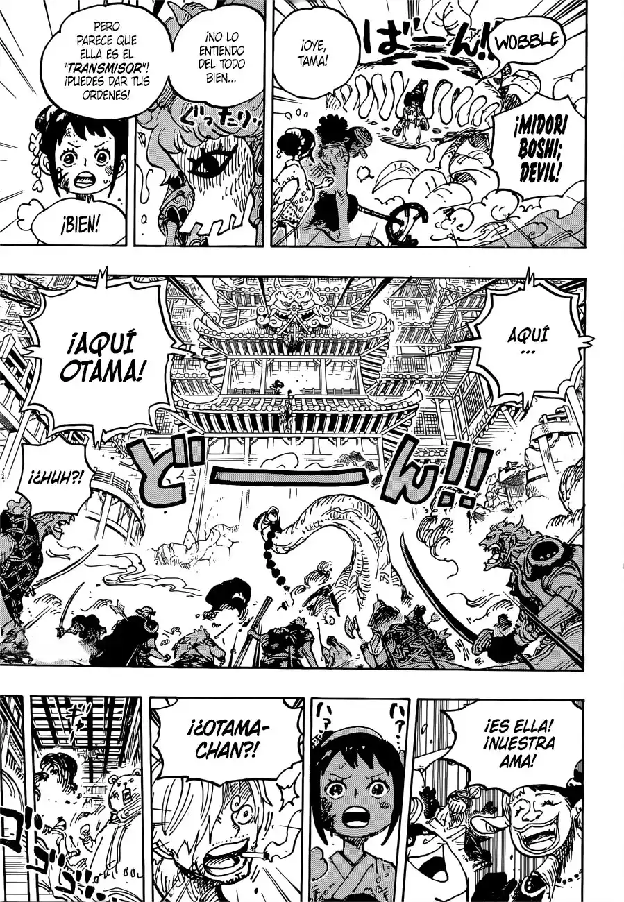 ONE PIECE Capitulo 1016 página 13